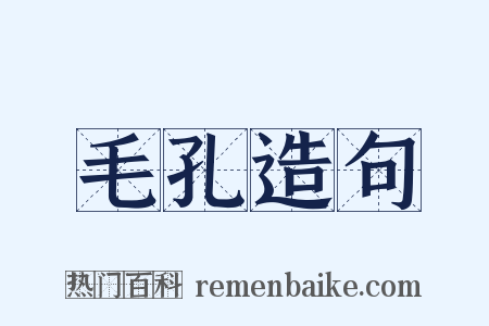 毛孔造句是什么意思的图片